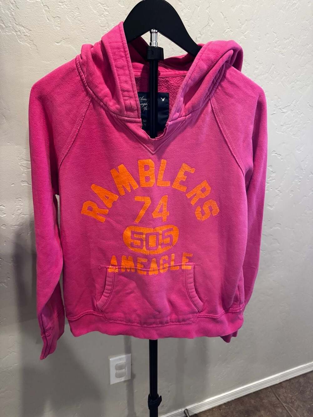 American Eagle Outfitters Ramblers 74 Graphic Pullover Hoodie Pink